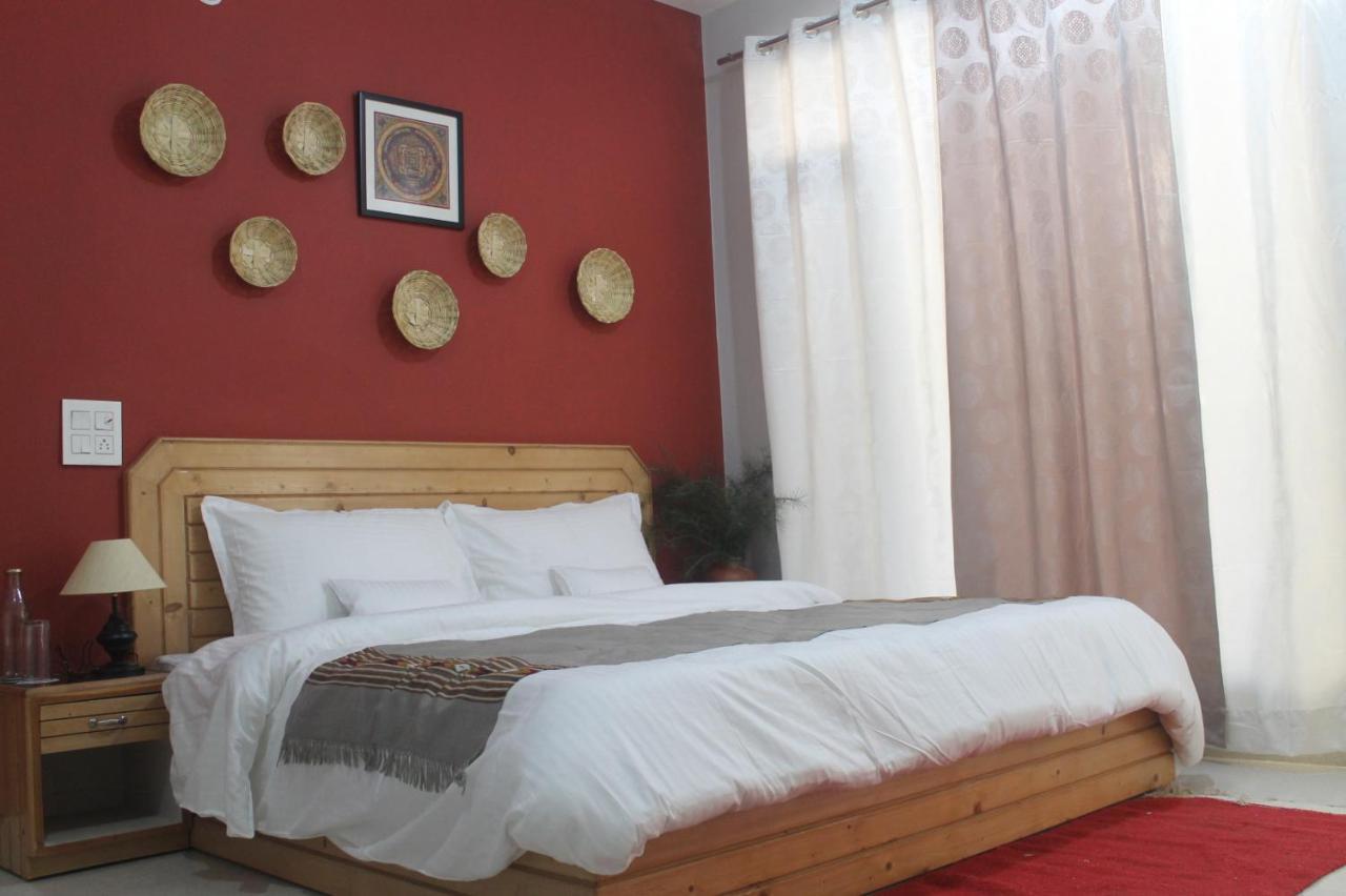 Junglaat Stays & Experiences Dharamshala Extérieur photo