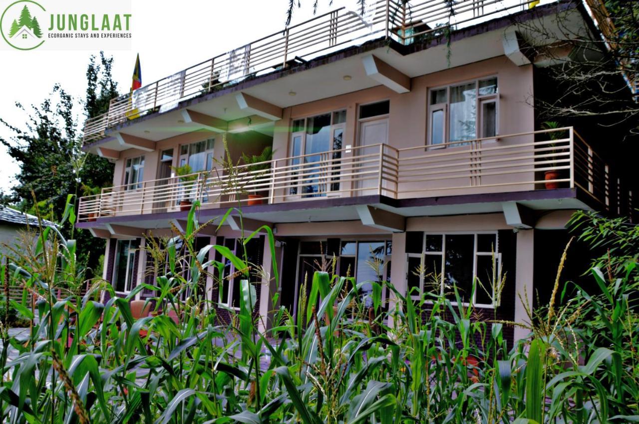 Junglaat Stays & Experiences Dharamshala Extérieur photo