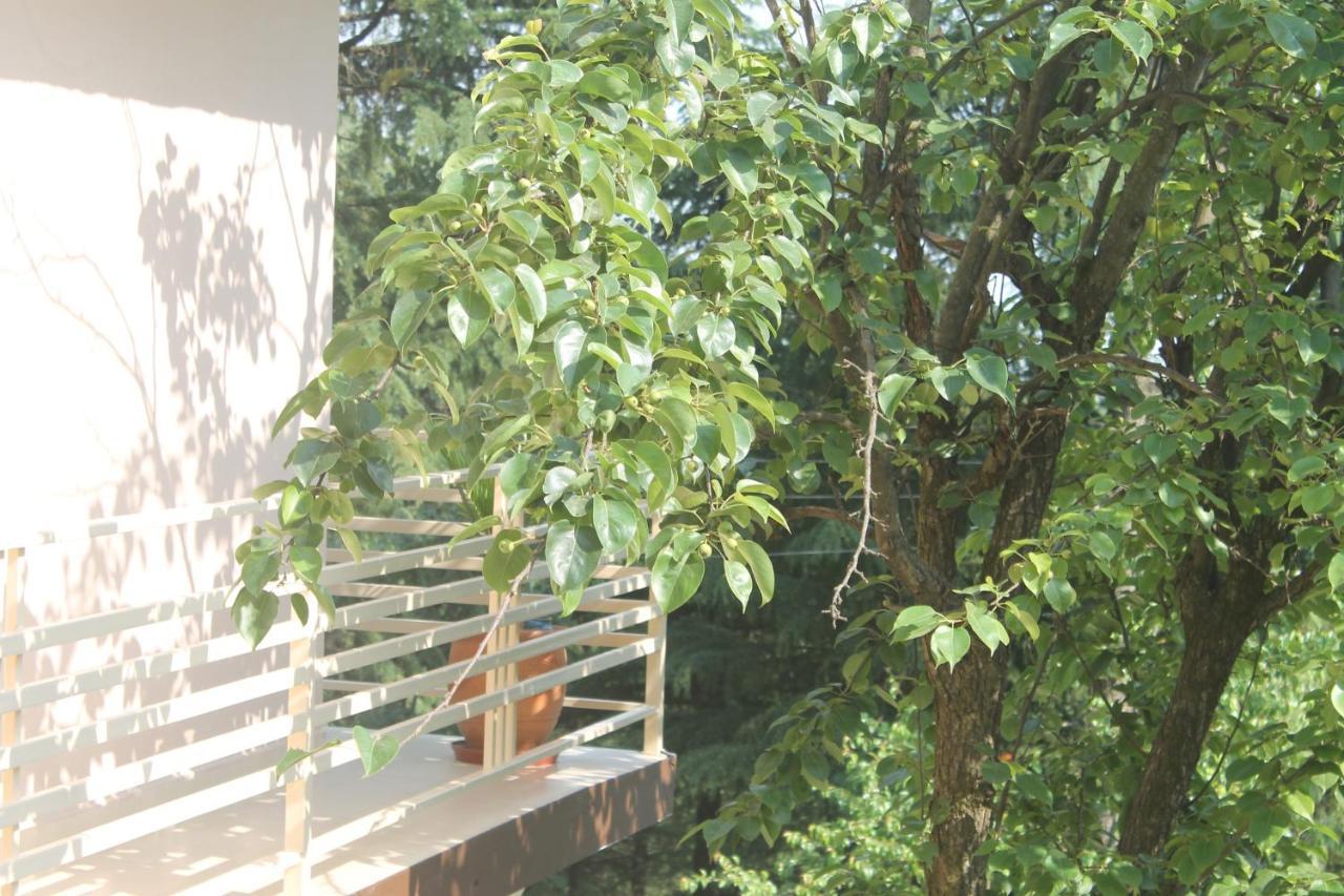 Junglaat Stays & Experiences Dharamshala Extérieur photo